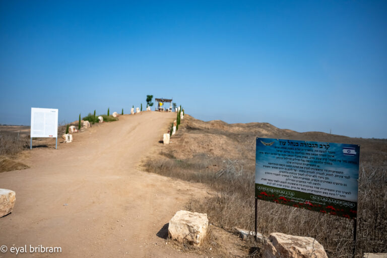 גבעת התצפתניות