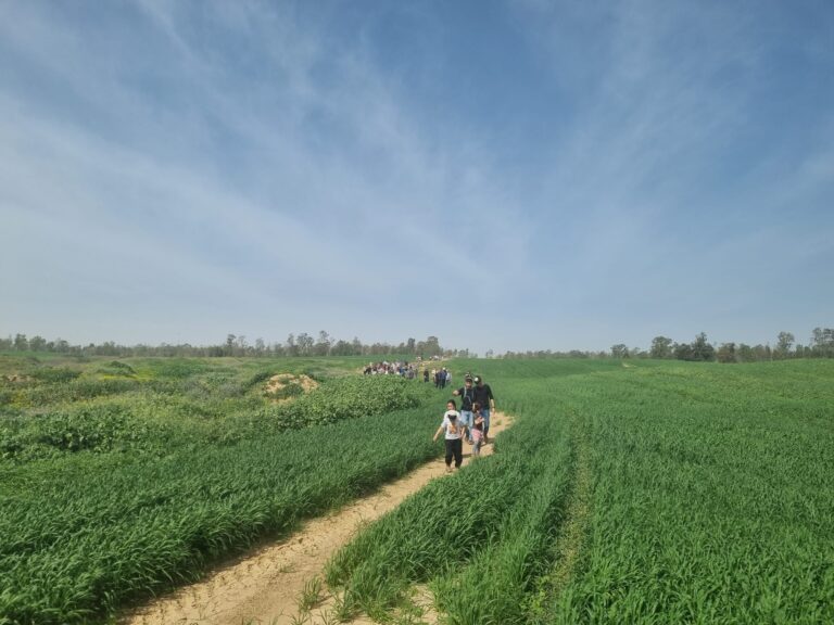 WhatsApp Image 2026-03-08 at 12.08.35