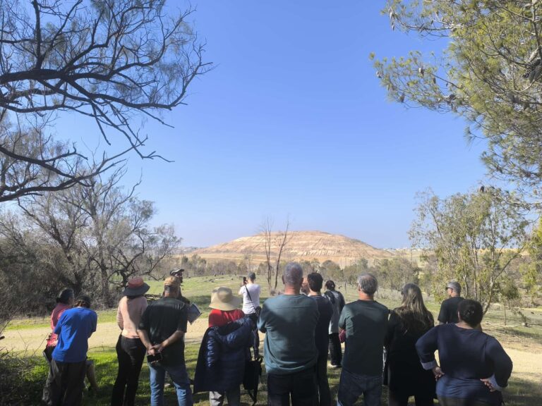 WhatsApp Image 2026-03-08 at 12.29.15 (1)