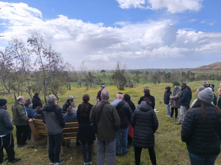 WhatsApp Image 2026-03-08 at 12.29.15 (5)