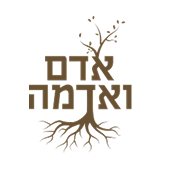 לוגו 23